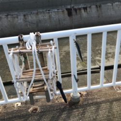 南港ジグサビキー