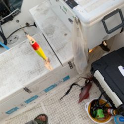 マイボートでデイイカメタル