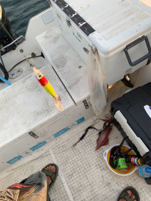 マイボートでデイイカメタル