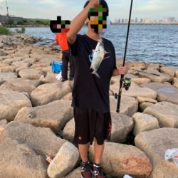 夕方のぶっ込み釣り