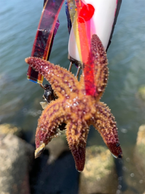 盆休み2日目、渋い。