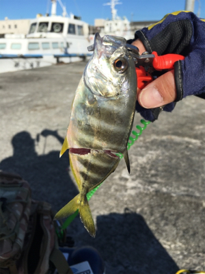 あなたは誰？メッキさん？