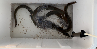 台風前に夕方のぶっ込み釣り