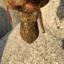 盆休み3日目、まぁまぁ!