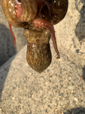 盆休み3日目、まぁまぁ!