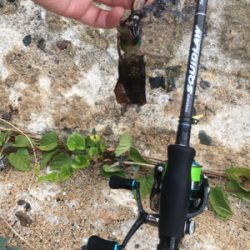 丹後の漁港ランガン❗️