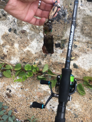 丹後の漁港ランガン❗️