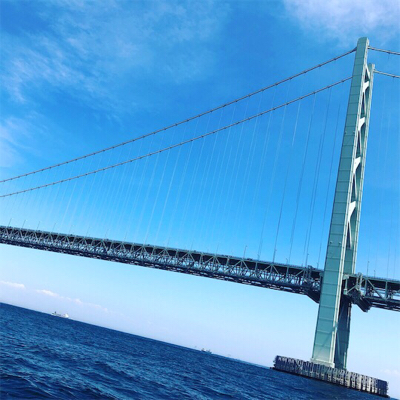 メジロ、ツバス