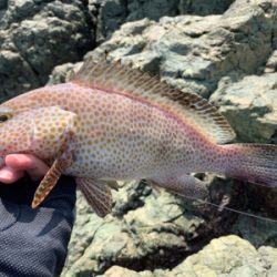 ビッグオオモ〜ン