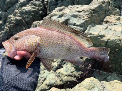 ビッグオオモ〜ン