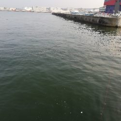 灼熱オクトパッシング。