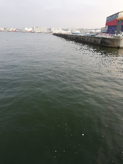 灼熱オクトパッシング。