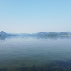 久しぶりの陸っぱり