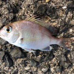 小物フィーバー…汗