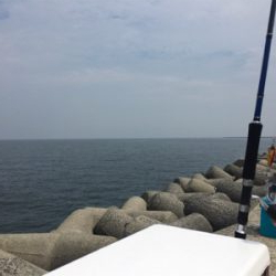 ツバスシブい？