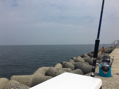 ツバスシブい？