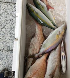 令和元年 初フィッシング〜！