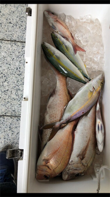 令和元年 初フィッシング〜！