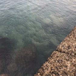 舞鶴ではどうか…