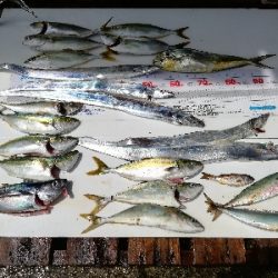 キャスティング タイラバ