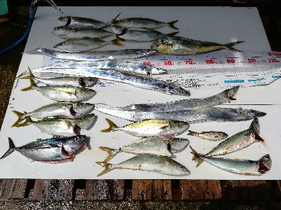 キャスティング タイラバ