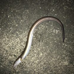 ちょこっと釣行