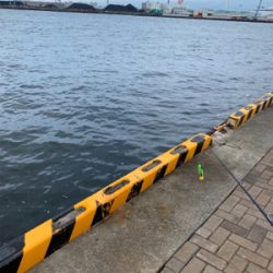 早朝のオクトパッシング