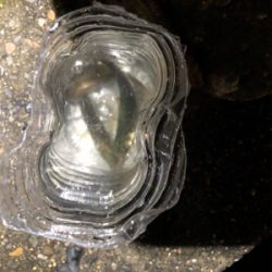 試合ついでの年1食コン釣行