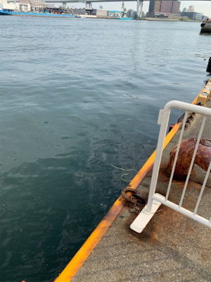 夜明けのオクトパッシング