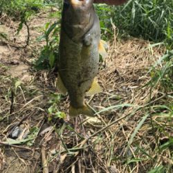 雨上がりのあと