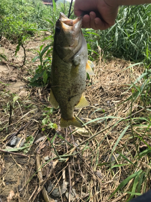 雨上がりのあと