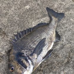 干潮前後で楽しめました