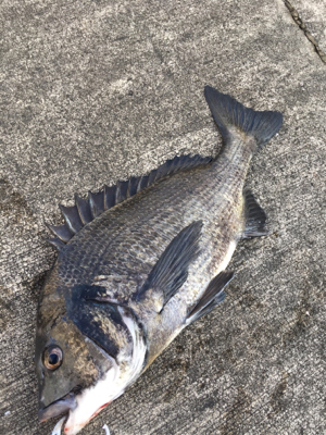 干潮前後で楽しめました