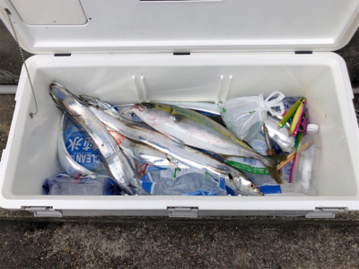 東田丸 ジギング