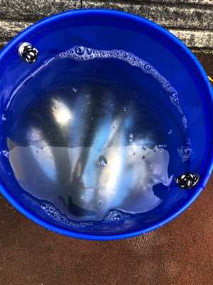 タチウオ調査兼ねての青物