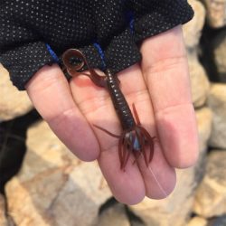 ライトブリームゲーム