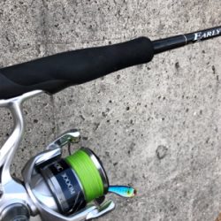 夏の終わりの思い出 ギンガメアジ