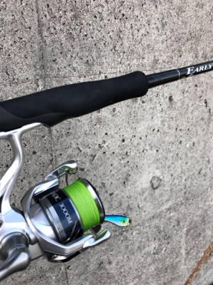 夏の終わりの思い出 ギンガメアジ