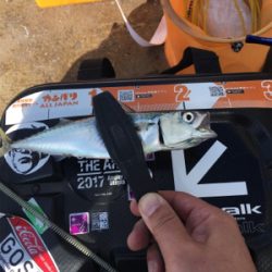 バァーサースタイル？