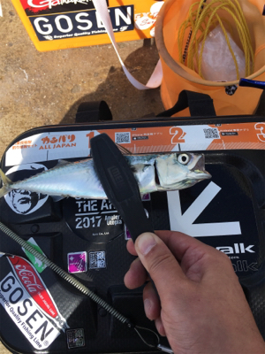 バァーサースタイル？