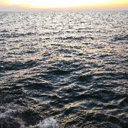 今季初はメーター足らず