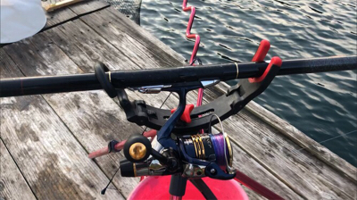 つりぴぃぽぉ釣果