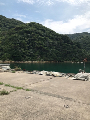 境港でライトゲーム