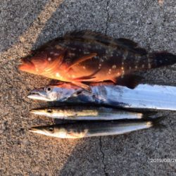 マッチザベイト