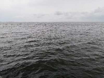 太刀魚はワンチャンス