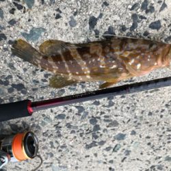 探り探りのライトロック