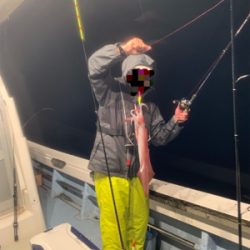 マイクロジギングからのイカメタル