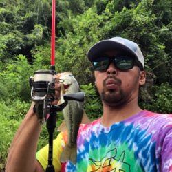 フリックシェイクで4本