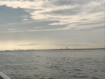 タチウオ調査とツバス君