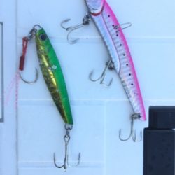 アジ！ツバス！ハマチ！